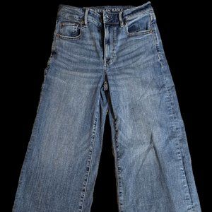 American Eagle AE wide leg jeans 2 x short